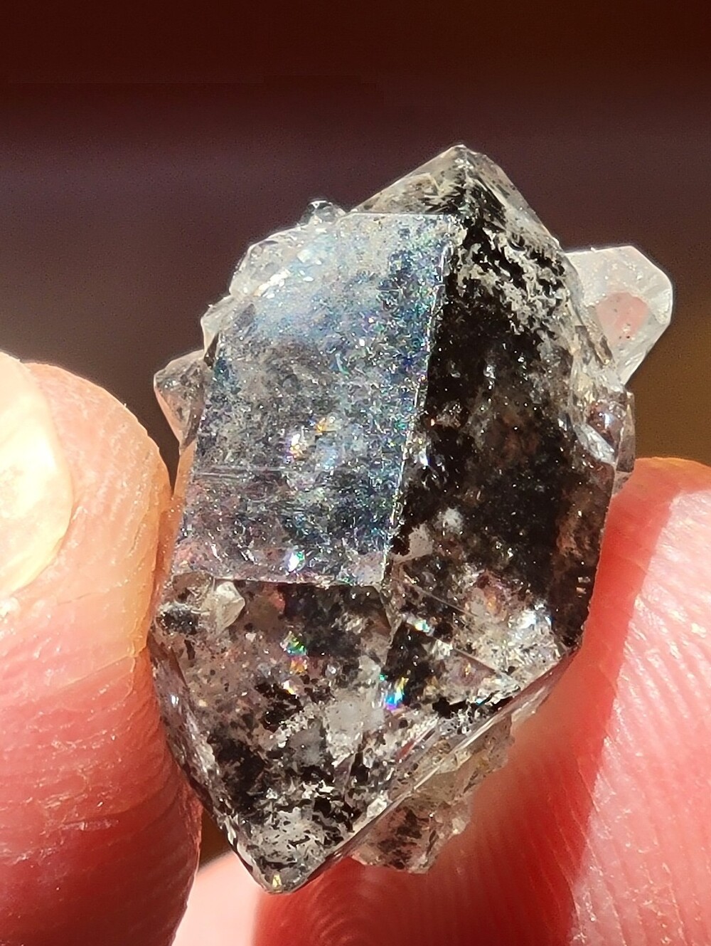 14.70ctw Natural Black Herkimer Diamond Crystal Cluster